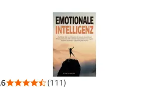 Buchcover "Emotionale Intelligenz" mit einer Person, die auf einem Felsen steht. Es geht um Achtsamkeit, Resilienz und psychologische Stärke.