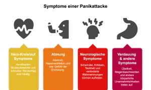 Symptome einer Panikattacke: Herzrasen, Atemnot, Schwindel, Übelkeit. Manchmal sind panikattacken wegen partner Auslöser.