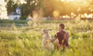 Ein Mann und sein Hund sitzen im goldenen Abendlicht auf einer Wiese. Sie sind sichtlich zufriedene Menschen, die die Ruhe genießen.