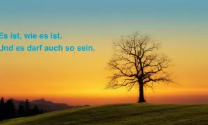 Ein kahler Baum auf einem Hügel bei Sonnenuntergang. Der Himmel ist in warmen Orange- und Blautönen gehalten. Der Spruch "Es ist, wie es ist." steht in blauer Schrift.