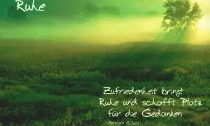 Grüne Wiese im Nebel, Sonnenstrahlen durch einen Baum. "Zufriedenheit bringt Ruhe und schafft Platz für die Gedanken", wie Buddha lehrte.