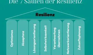 Die 7 Säulen der Resilienz: Optimismus, Akzeptanz, Lösungsorientierung, Selbstwirksamkeit, Verantwortung übernehmen, Netzwerkorientierung, Zukunftsplanung. So kann man Resilienz lernen.