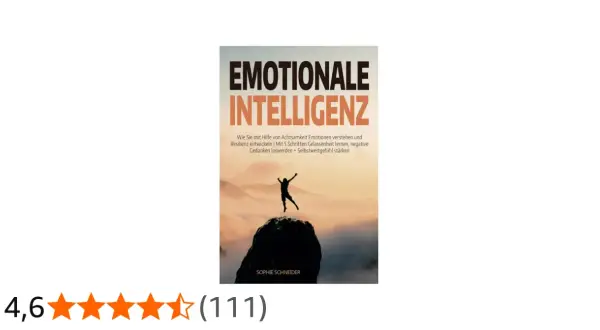 Buchcover "Emotionale Intelligenz" mit einer Person, die auf einem Felsen steht. Es geht um Achtsamkeit, Resilienz und psychologische Stärke.