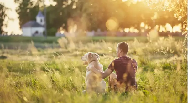 Ein Mann und sein Hund sitzen im goldenen Abendlicht auf einer Wiese. Sie sind sichtlich zufriedene Menschen, die die Ruhe genießen.