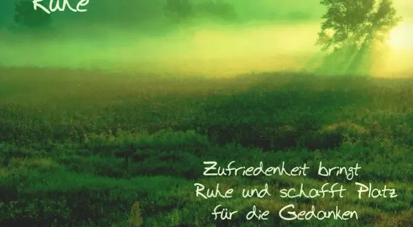 Grüne Wiese im Nebel, Sonnenstrahlen durch einen Baum. "Zufriedenheit bringt Ruhe und schafft Platz für die Gedanken", wie Buddha lehrte.
