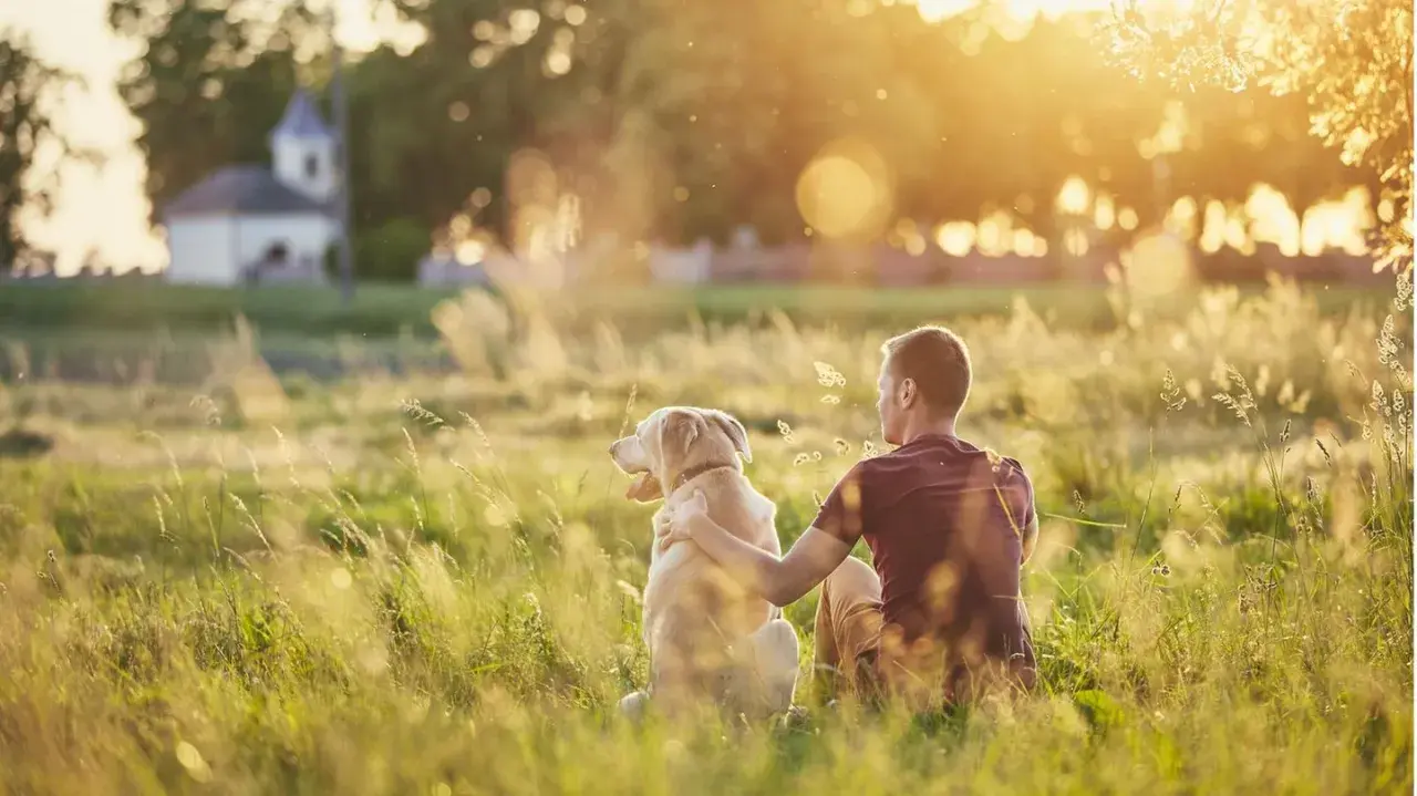 Ein Mann und sein Hund sitzen im goldenen Abendlicht auf einer Wiese. Sie sind sichtlich zufriedene Menschen, die die Ruhe genießen.