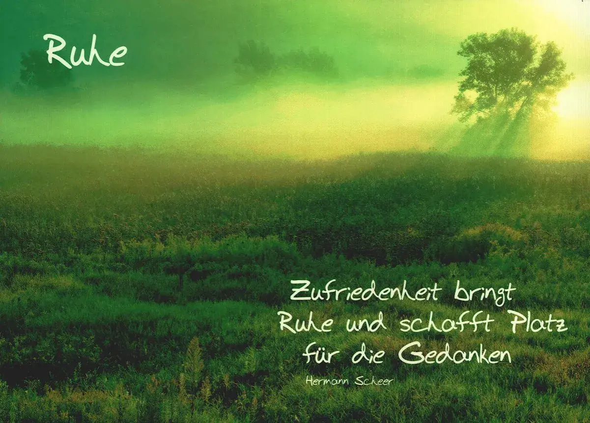 Grüne Wiese im Nebel, Sonnenstrahlen durch einen Baum. "Zufriedenheit bringt Ruhe und schafft Platz für die Gedanken", wie Buddha lehrte.