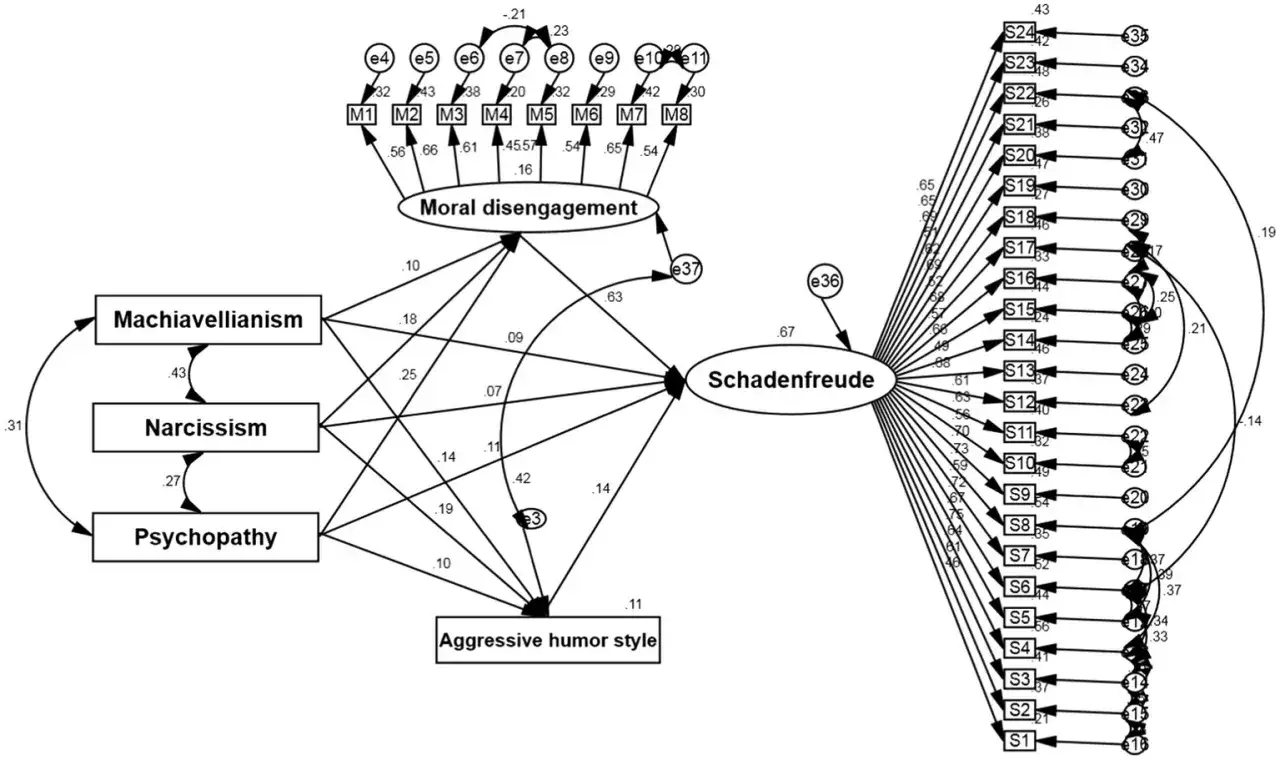 Modell psychologischer Konstrukte: Machiavellianismus, Narzissmus, Psychopathie, moralische Desengagement, Schadenfreude und aggressive Humorarten.