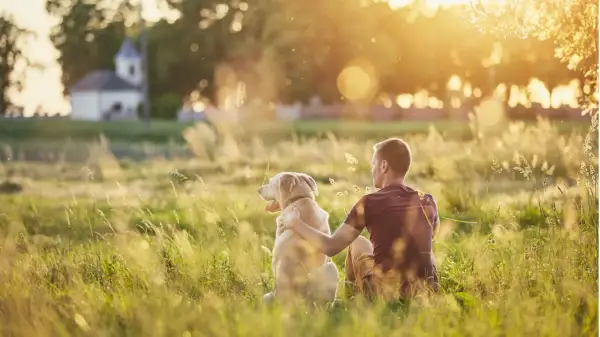 Ein Mann und sein Hund sitzen im goldenen Abendlicht auf einer Wiese. Sie sind sichtlich zufriedene Menschen, die die Ruhe genießen.