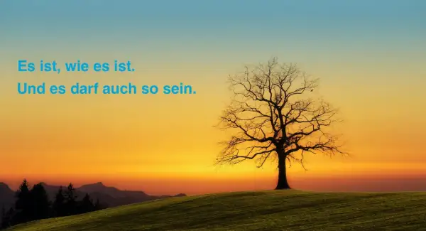 Ein kahler Baum auf einem Hügel bei Sonnenuntergang. Der Himmel ist in warmen Orange- und Blautönen gehalten. Der Spruch "Es ist, wie es ist." steht in blauer Schrift.